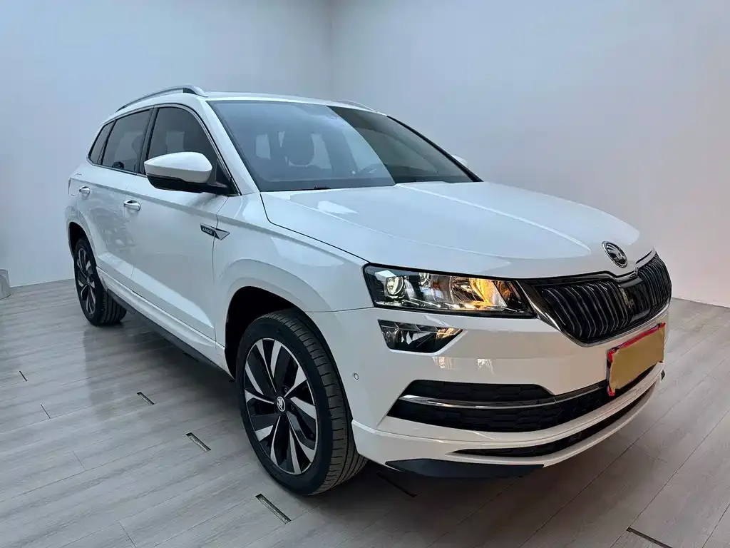 Skoda Karoq — фото 7