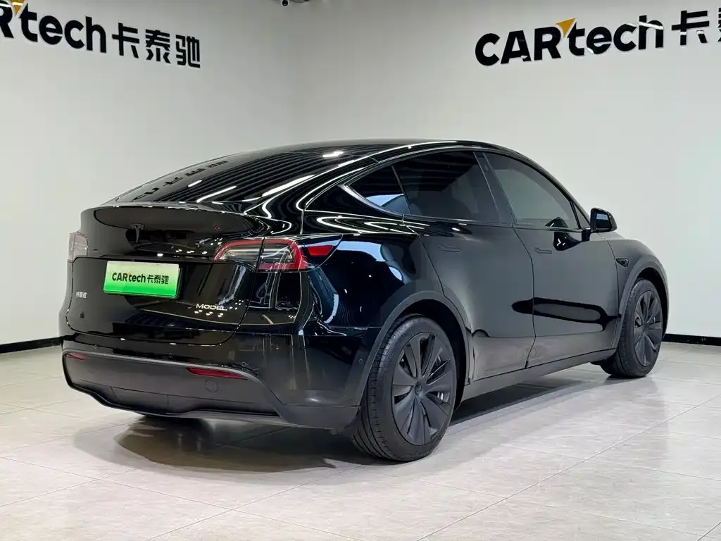 Tesla Model Y — фото 6