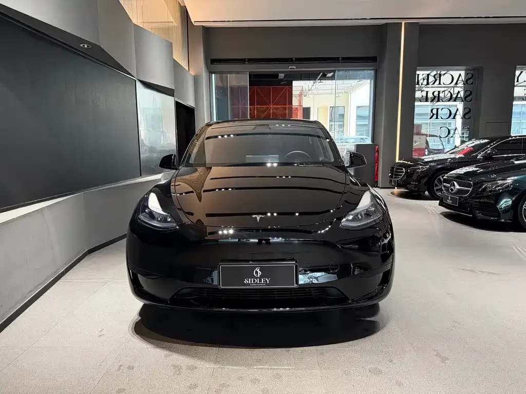 Tesla Model Y — фото 3