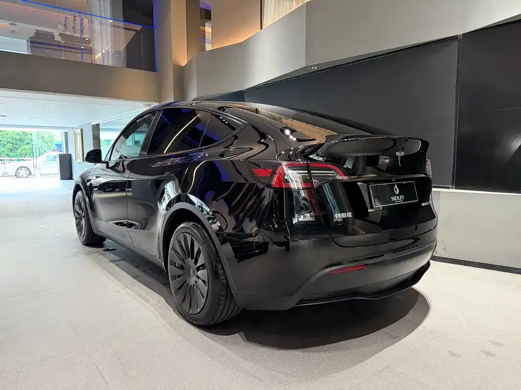 Tesla Model Y — фото 9