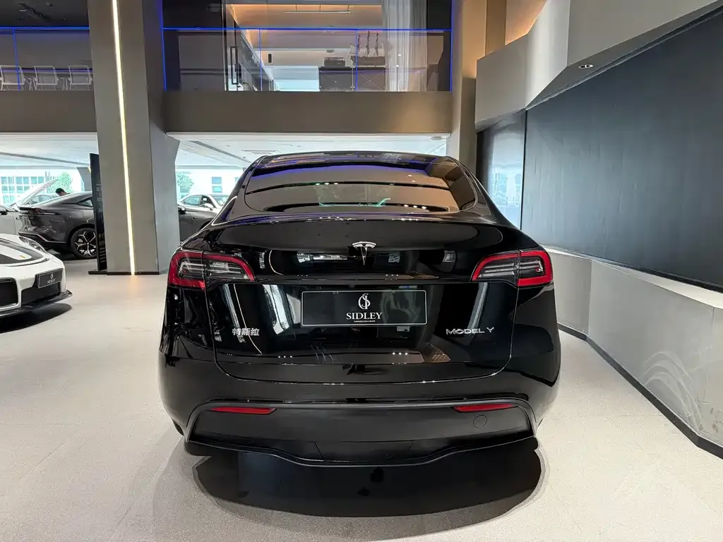 Tesla Model Y — фото 6