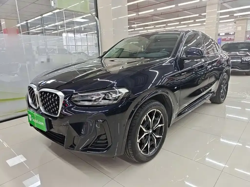 BMW X4 — фото 1