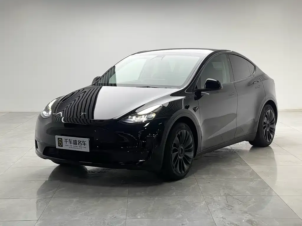 Tesla Model Y — фото 1