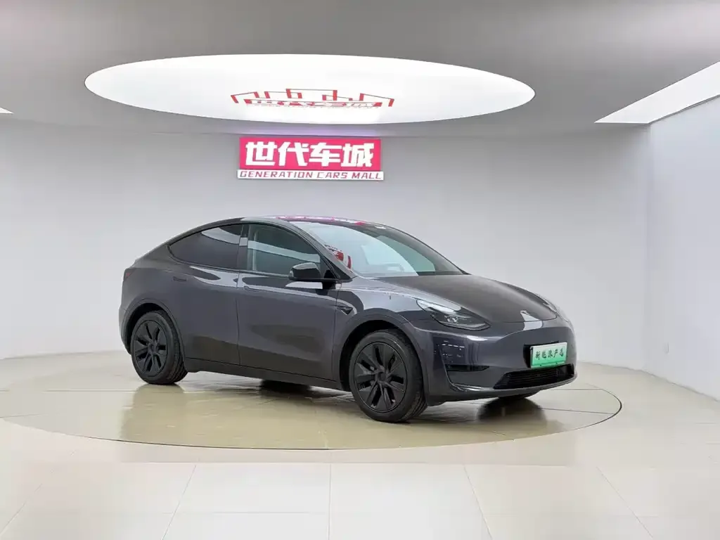 Tesla Model Y — фото 9