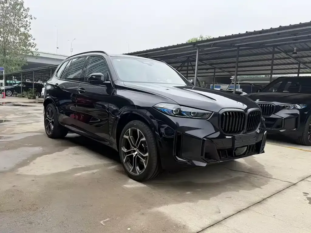 BMW X5 — фото 3