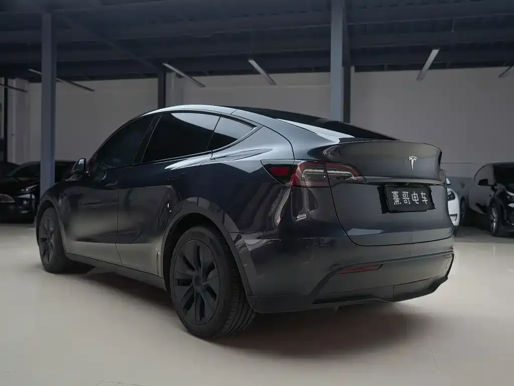 Tesla Model Y — фото 9