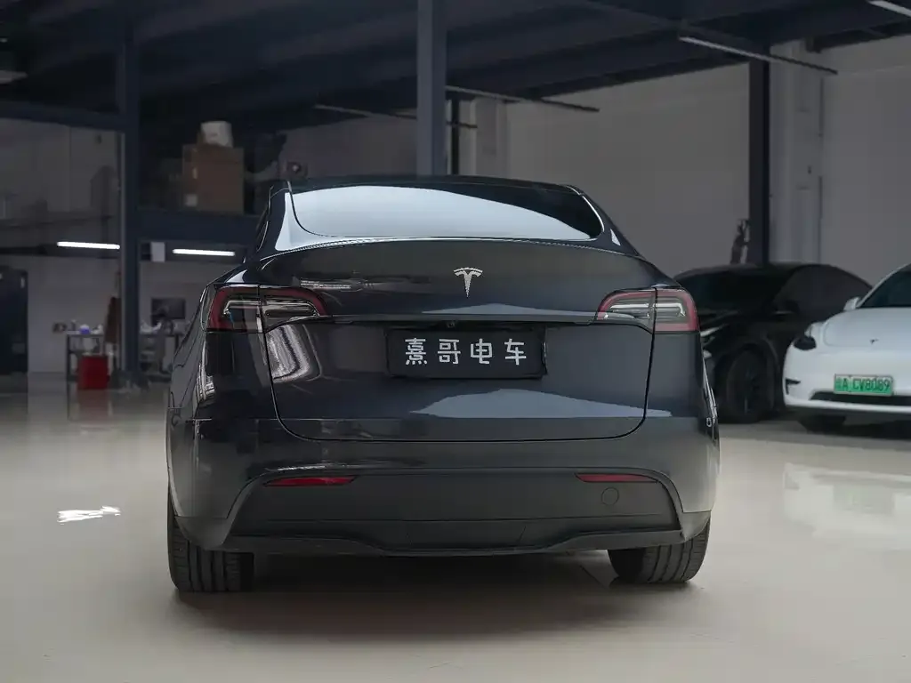 Tesla Model Y — фото 6