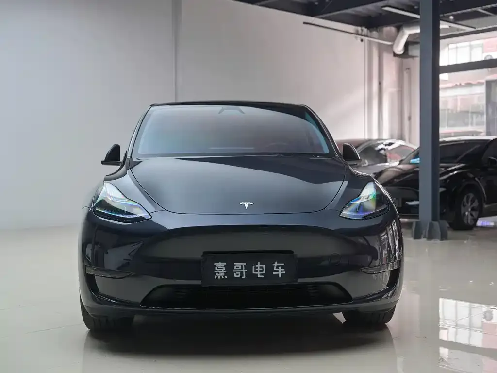 Tesla Model Y — фото 7