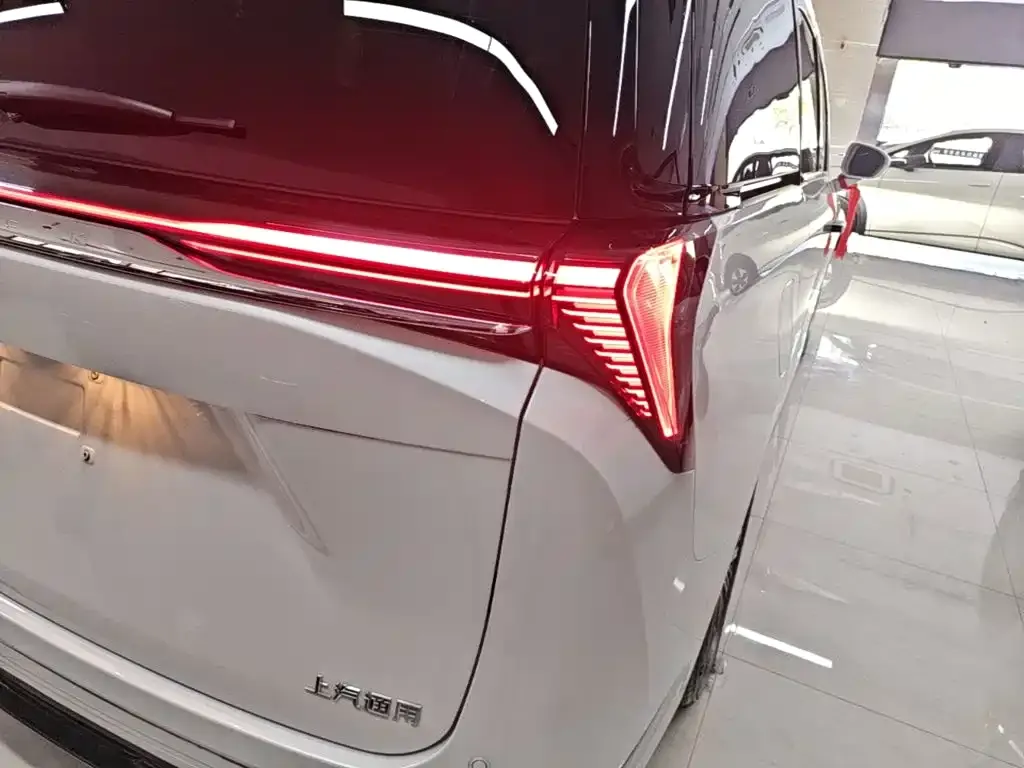 Buick GL8 Hybrid — фото 9