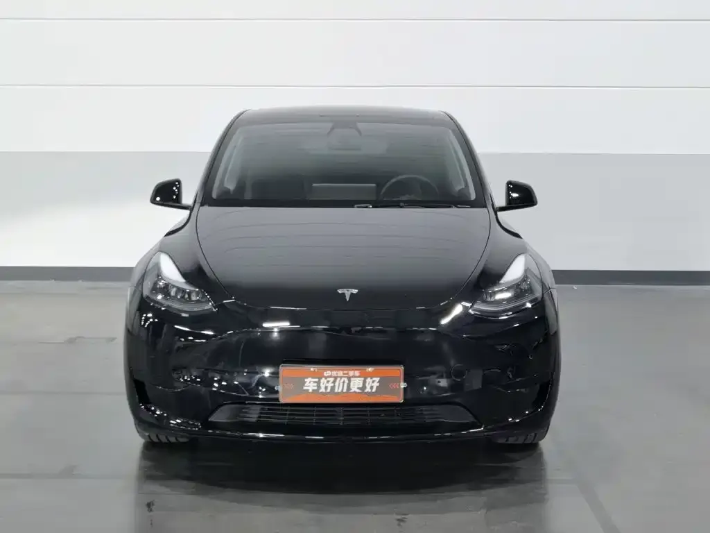 Tesla Model Y — фото 5