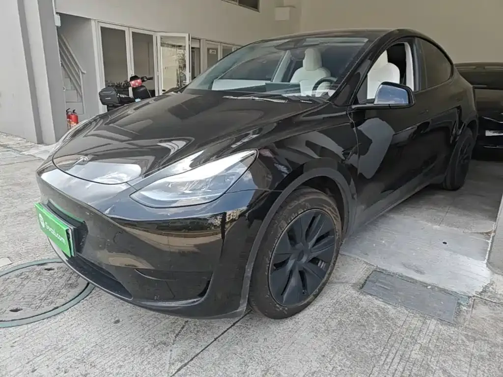Tesla Model Y — фото 1
