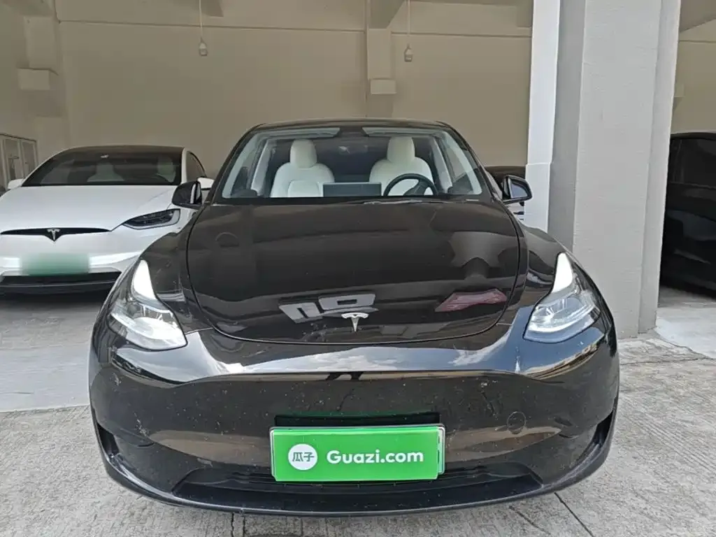 Tesla Model Y — фото 9