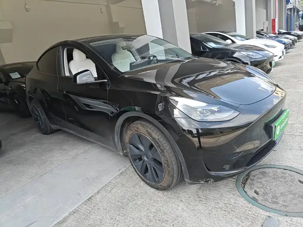 Tesla Model Y — фото 7