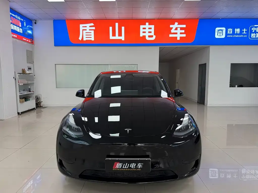 Tesla Model Y — фото 9