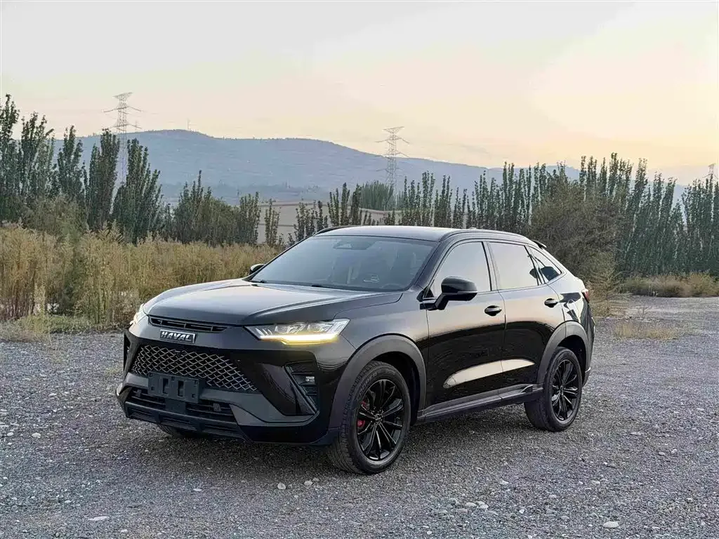 Haval H6S — фото 1