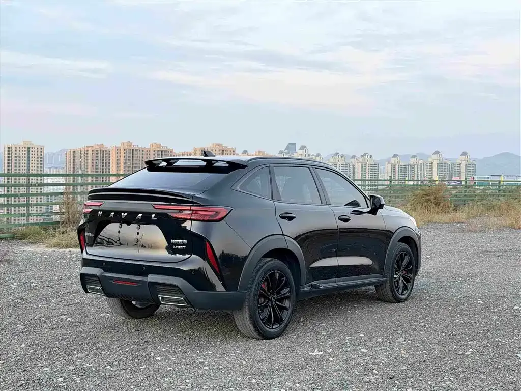 Haval H6S — фото 6