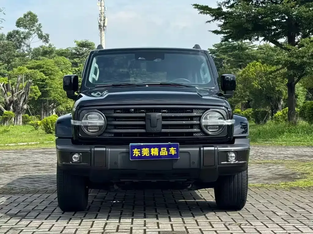 Tank 300 — фото 10