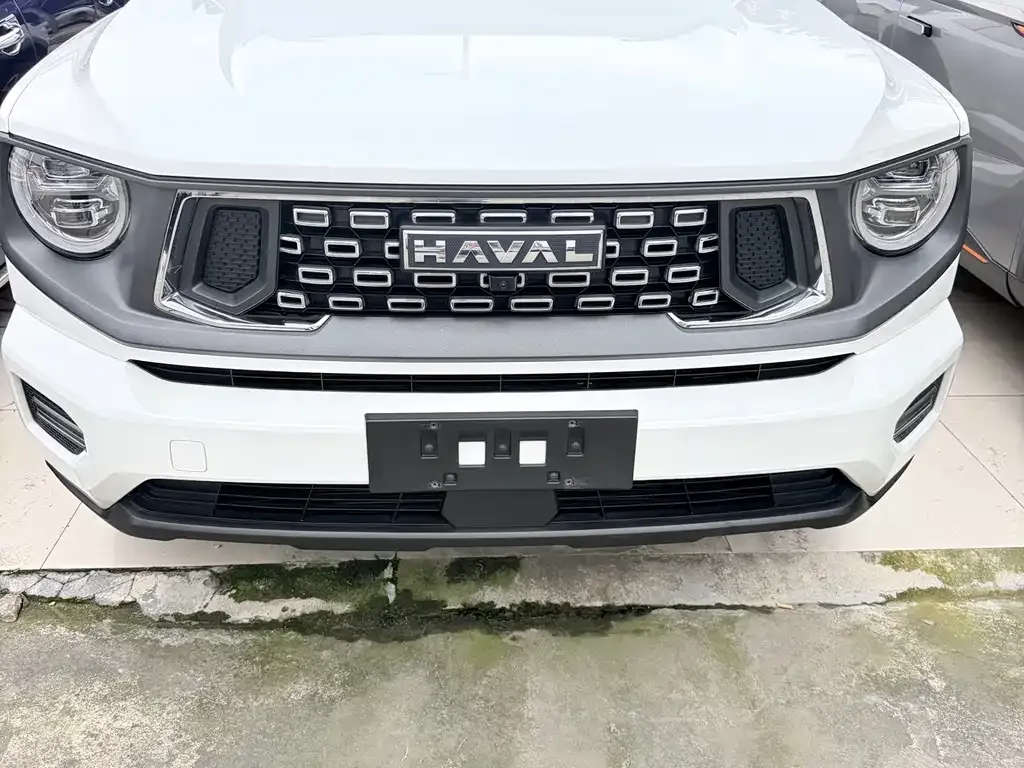 Haval Big Dog PLUS — фото 9
