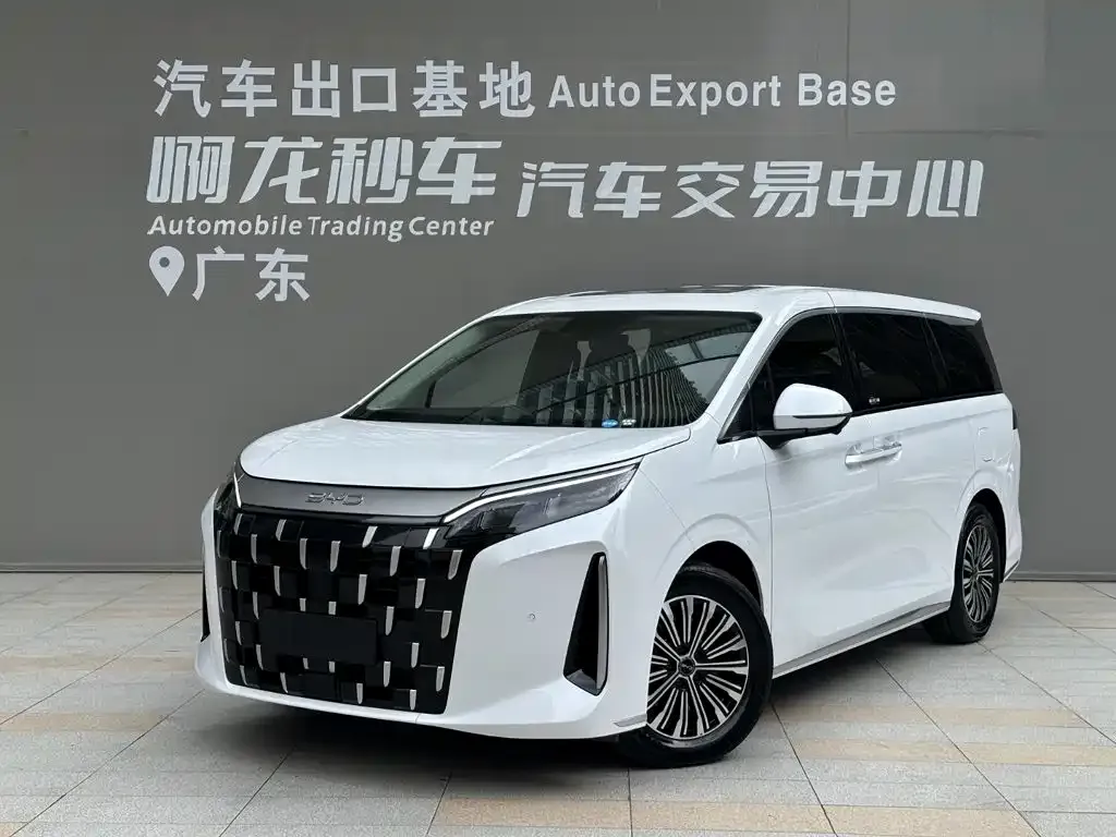 BYD M9 — фото 1
