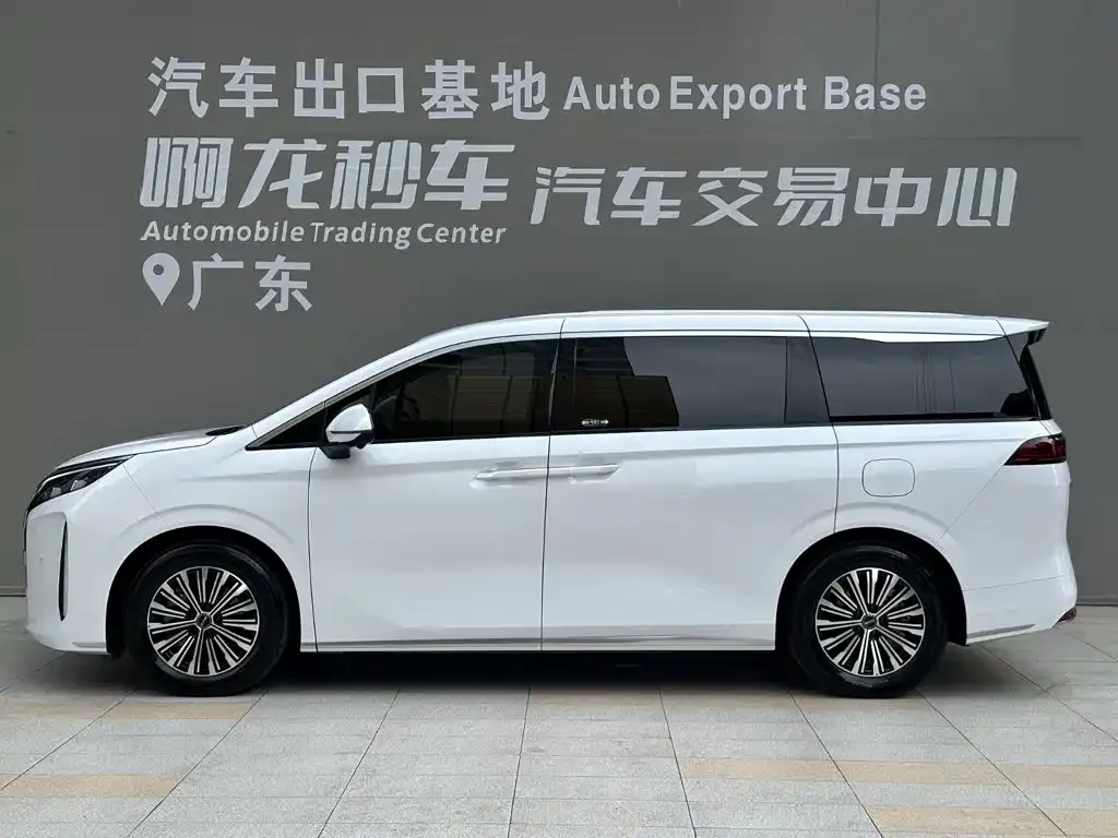BYD M9 — фото 7