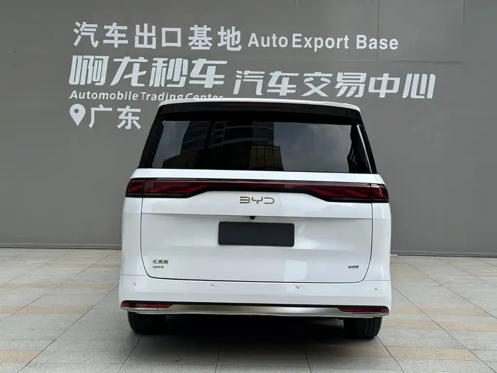 BYD M9 — фото 2
