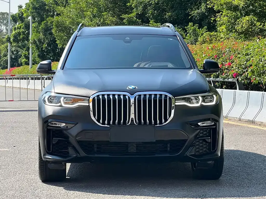 BMW X7 — фото 10