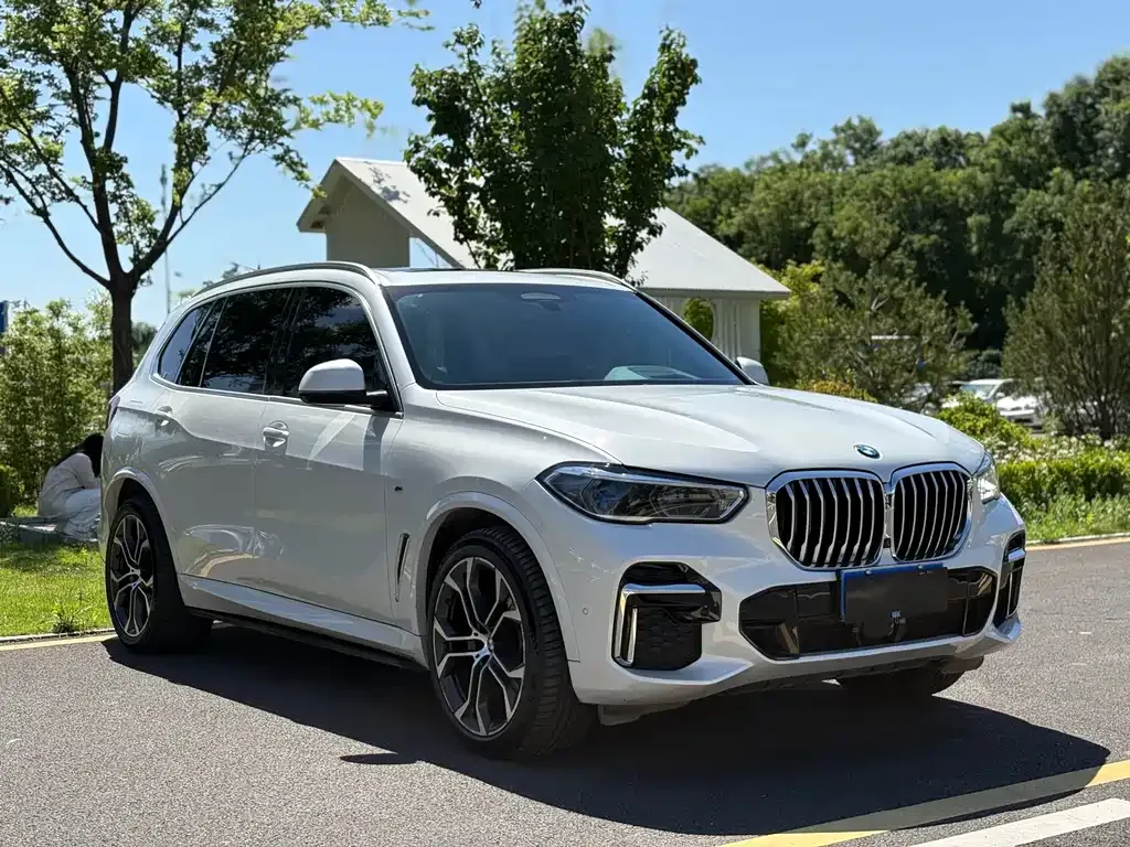 BMW X5 — фото 10