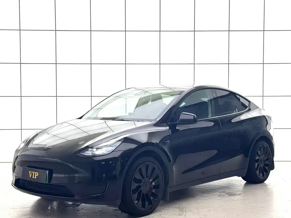 Tesla Model Y — фото 1