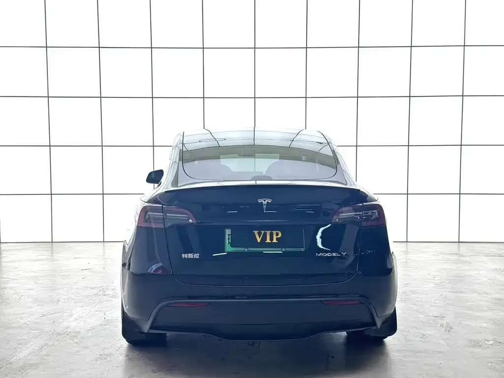 Tesla Model Y — фото 2