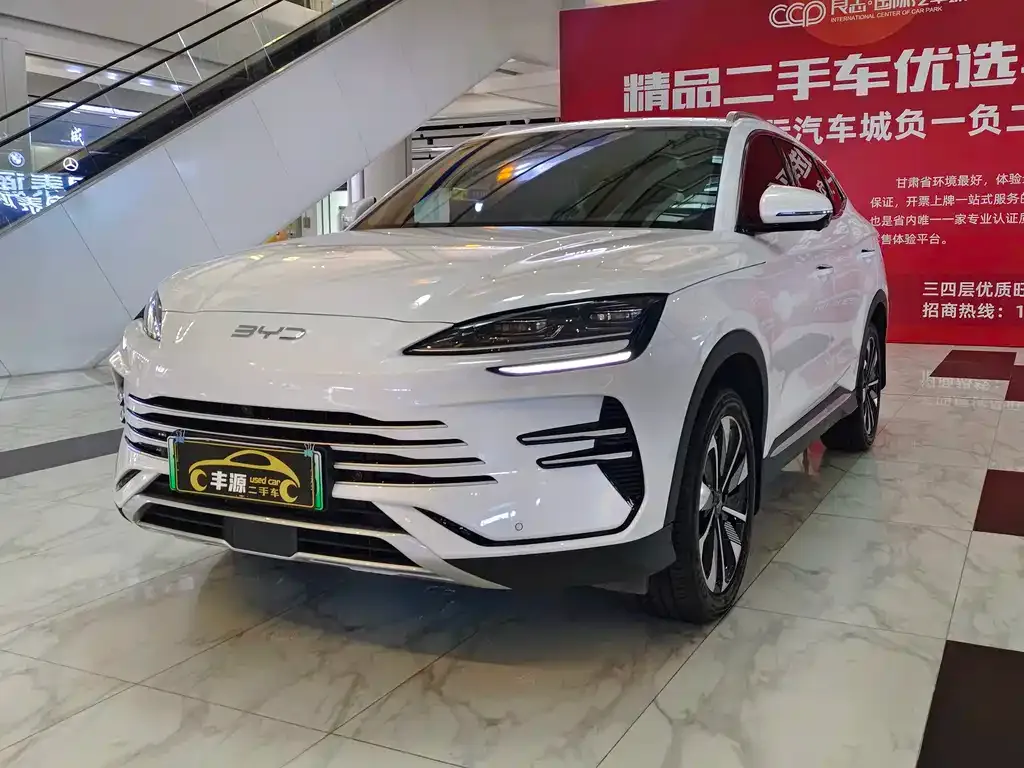 BYD PLUS New Energy — фото 1