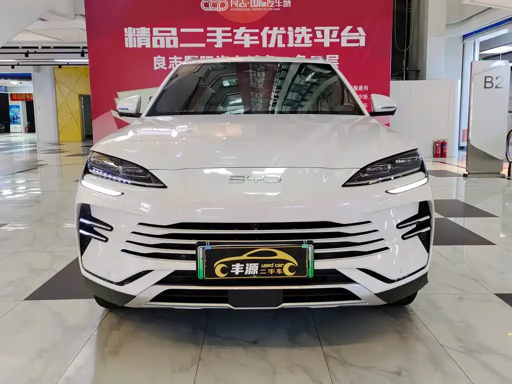 BYD PLUS New Energy — фото 5