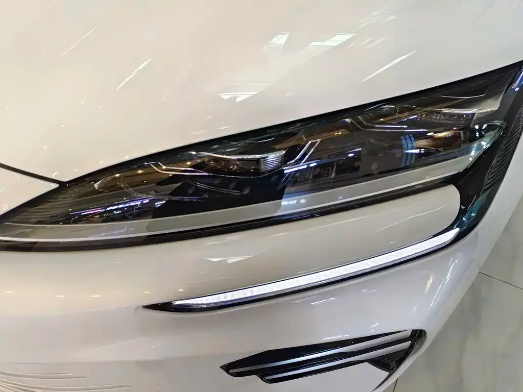 BYD PLUS New Energy — фото 4