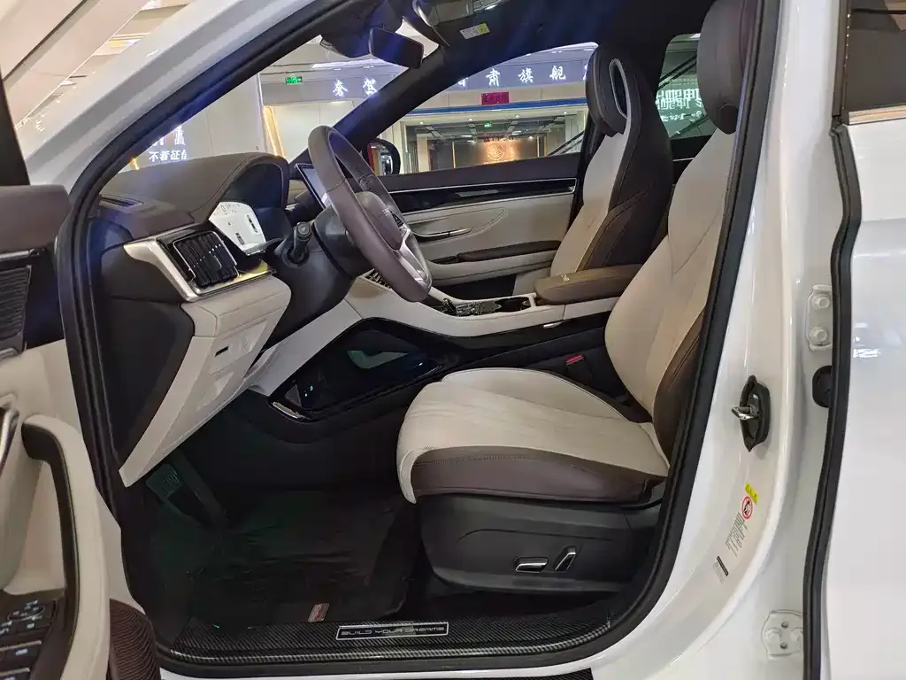 BYD PLUS New Energy — фото 10